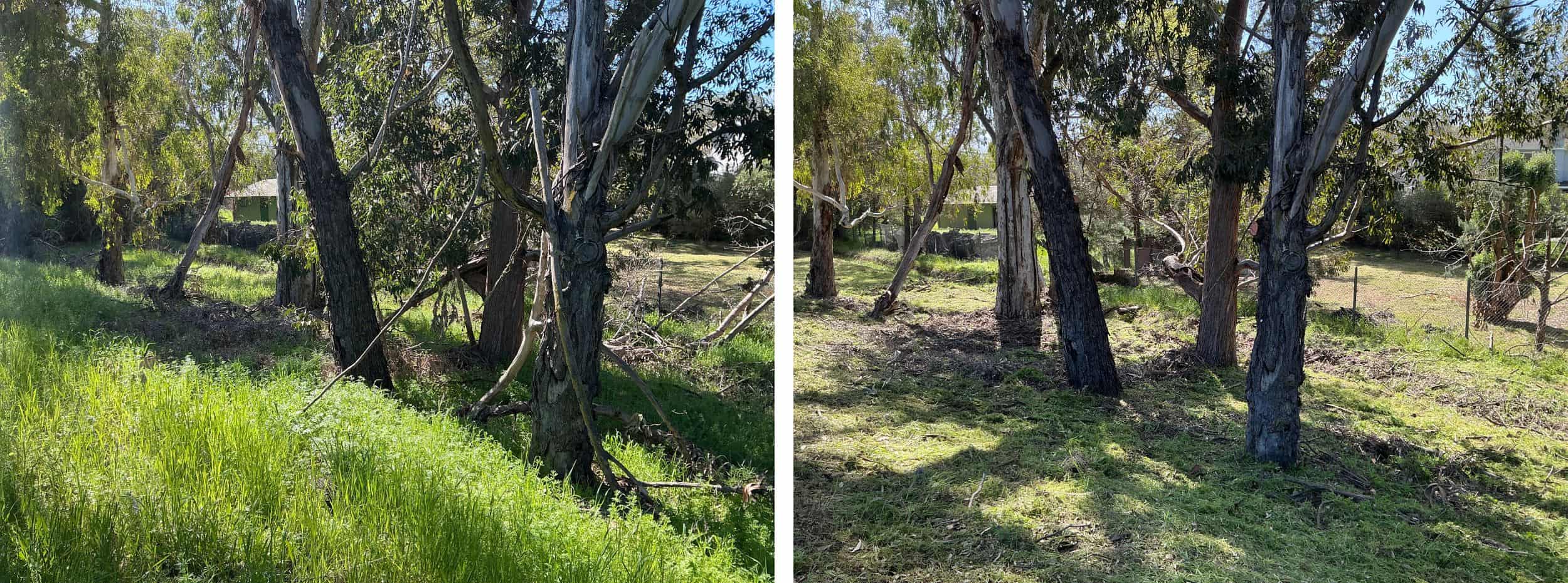 Low-growing tree branches and excess vegetation are cut away from the lower portion of the trees to create a separation between the tree canopy and ground fuels. Weeds, grasses and ground vegetation within the public right of way are trimmed to shorter than 6". Wooded vegetation piles will be cleaned up and chipped.