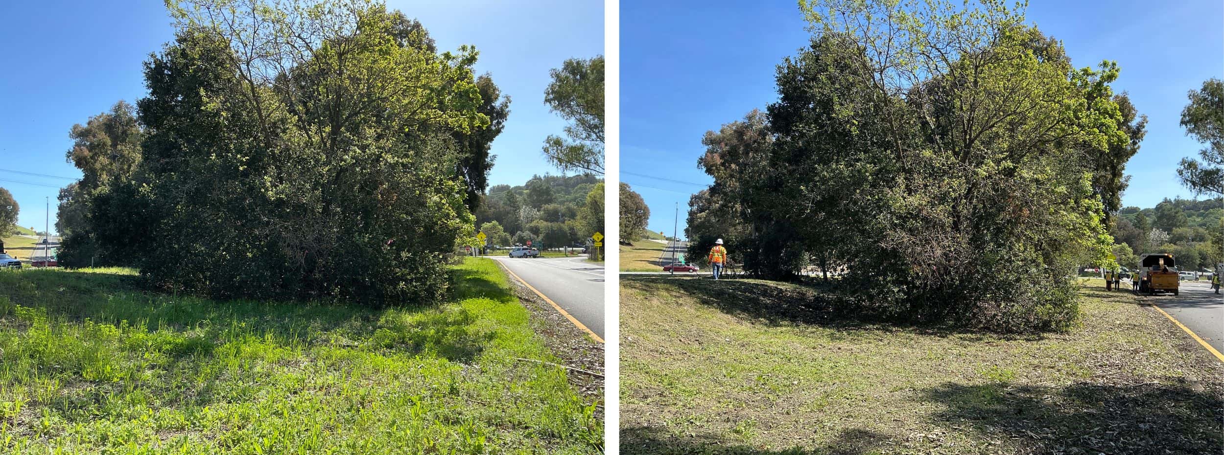Overgrown areas of vegetation will be thinned out. Weeds, grasses and ground vegetation within the public right of way are trimmed to shorter than 6".