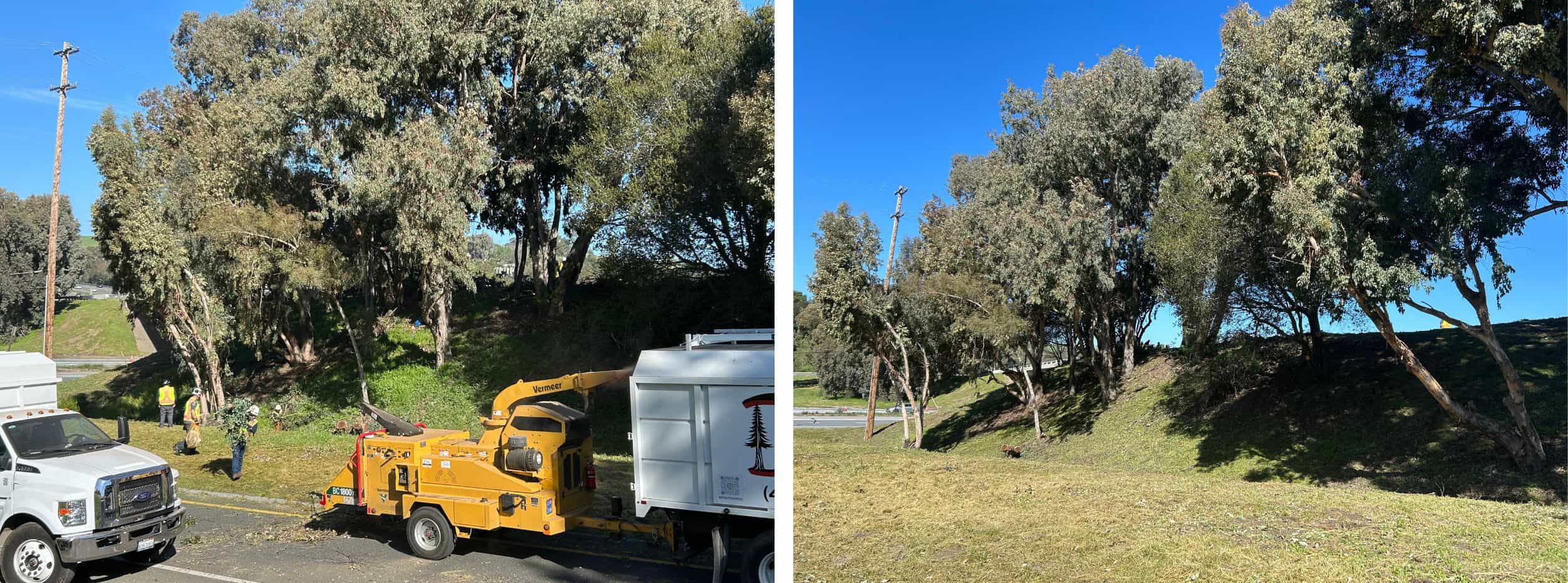 Low-growing tree branches and excess vegetation are cut away from the lower portion of the trees to create a separation between the tree canopy and ground fuels. Weeds, grasses and ground vegetation within the public right of way are trimmed to shorter than 6".