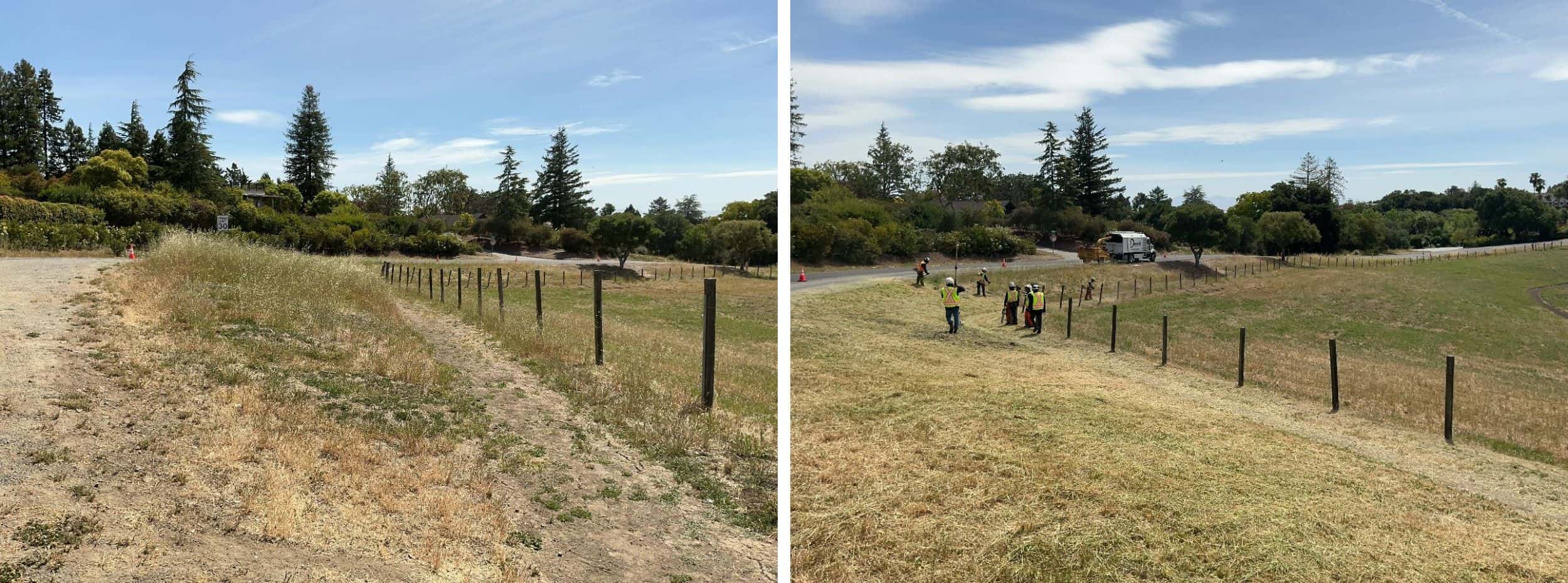 Weeds, grasses and ground vegetation within the public right of way are trimmed to shorter than 6". When there's a path, as shown here, the easement allows for trimming and additional 1 foot on each side of the path.