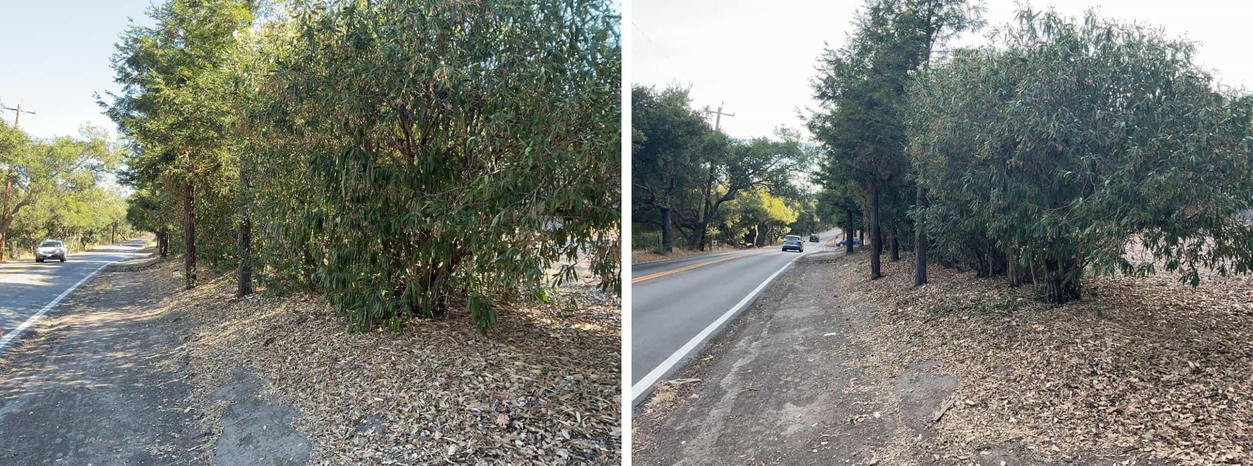 Altamont evac route project