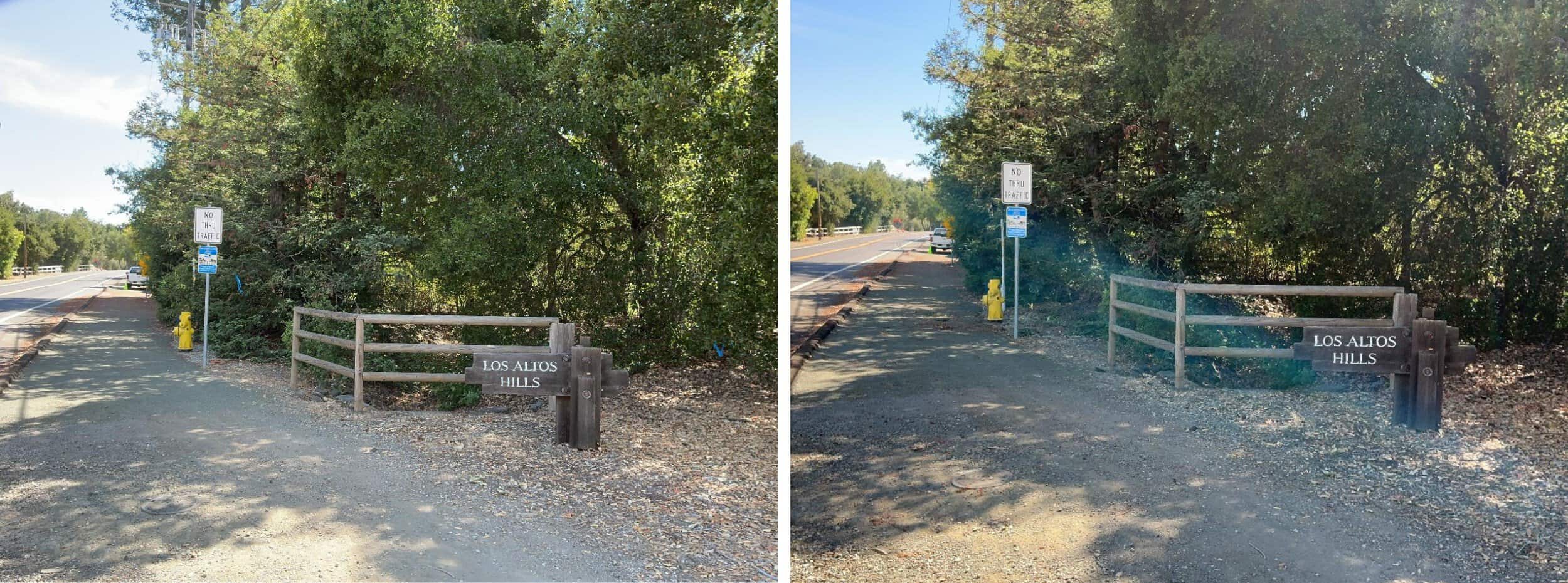 Vegetation will be cleared within a 3 foot bubble around fire hydrants to allow for proper identification and use of these assets by emergency service personnel.