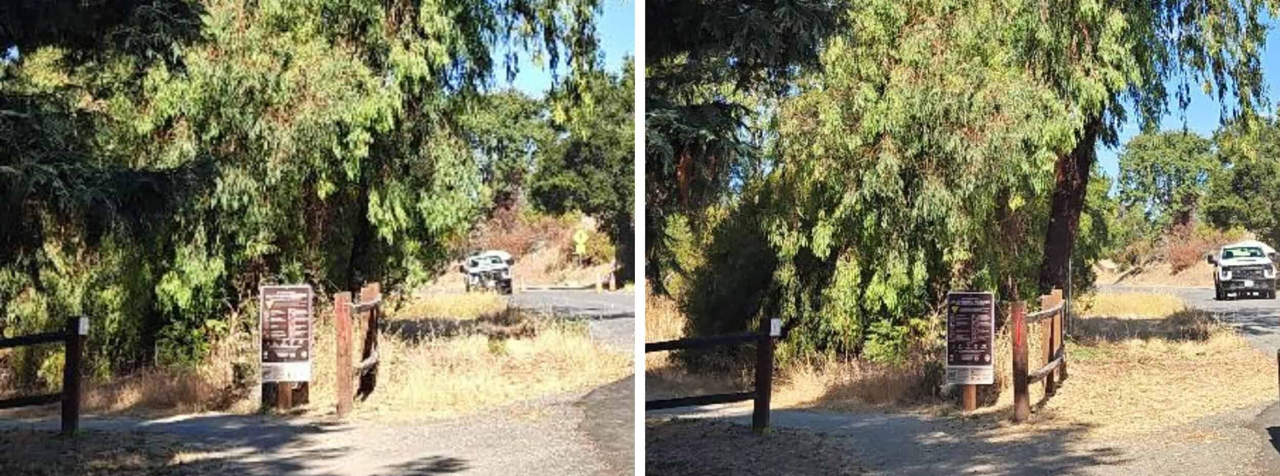 Low-growing tree branches and excess vegetation are cut away from the lower portion of the trees to create a separation between the tree canopy and ground fuels. Weeds, grasses and ground vegetation within the public right of way are trimmed to shorter than 6". When there's a path, as shown here, the easement allows for trimming and additional 1 foot on each side of the path.