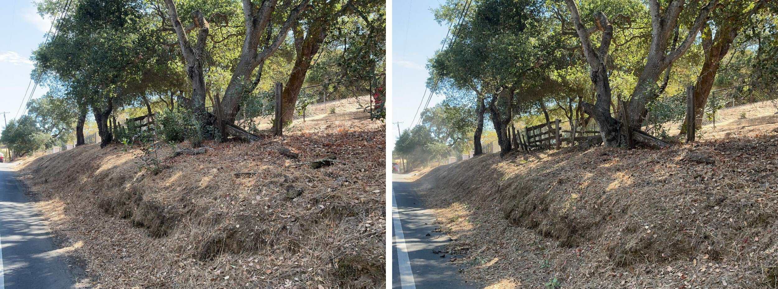 Hazardous vegetation, including brush, grasses, and tree limbs, is cleared to the fence line.