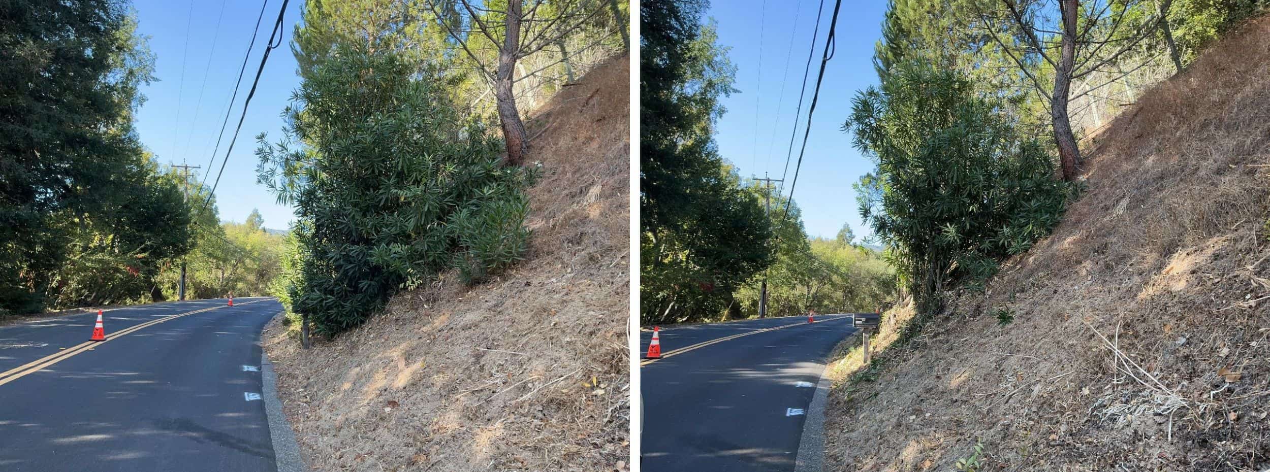 Low-growing tree branches and excess vegetation are cut away from the lower portion of the trees to create a separation between the tree canopy and ground fuels.