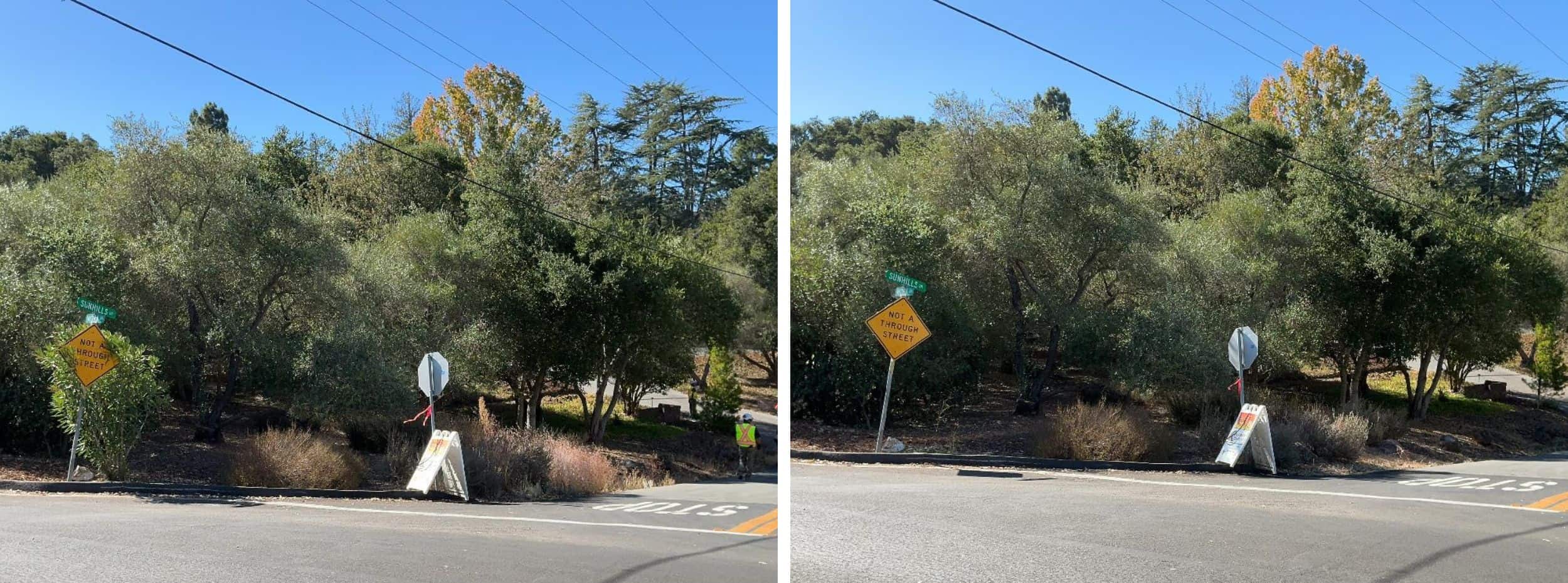 Low-growing tree branches and excess vegetation are cut away from the lower portion of the trees to create a separation between the tree canopy and ground fuels.
