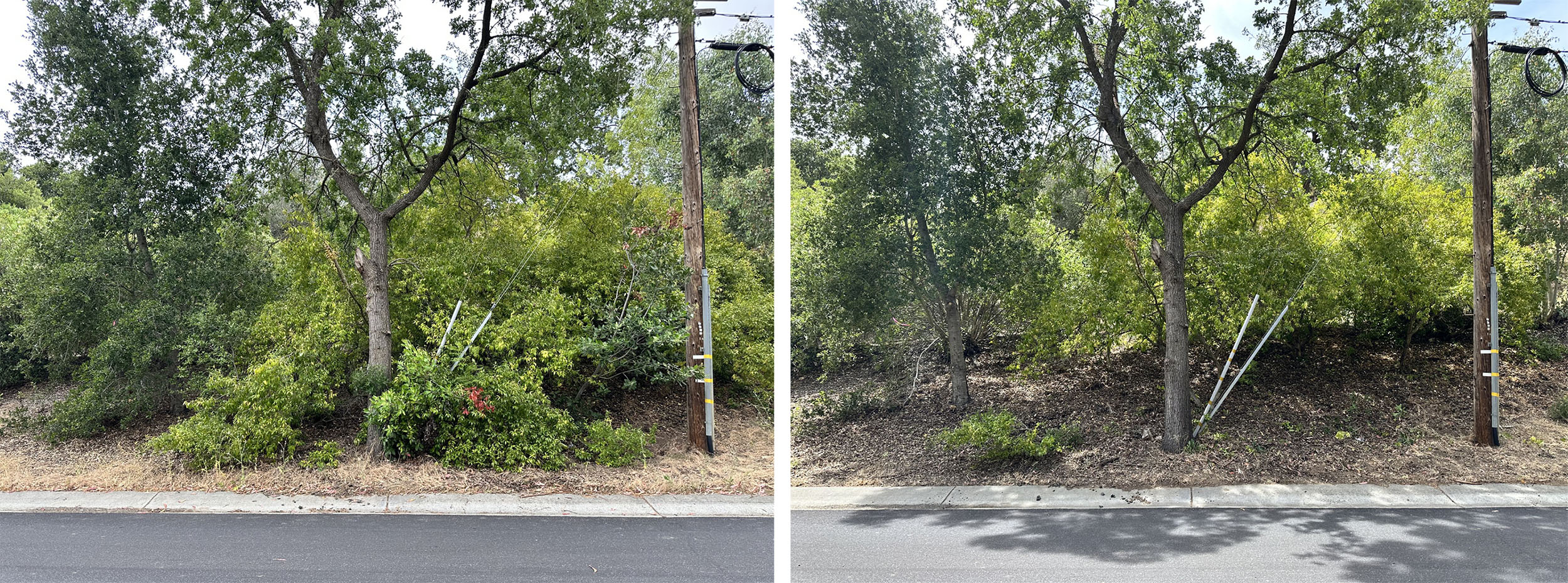street view of la paloma