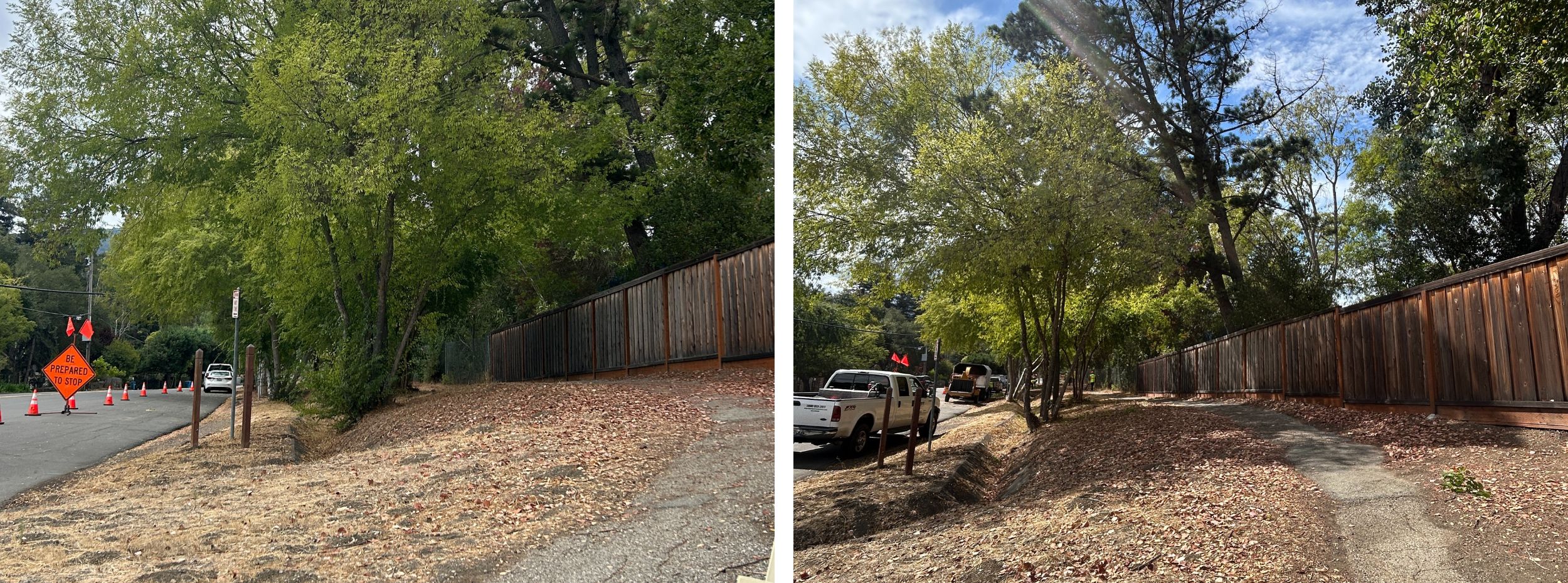 Low-growing tree branches and excess vegetation are cut away from the lower portion of the trees to create a separation between the tree canopy and ground fuels. When there's a path, as shown here, the easement allows for trimming and additional 1 foot on each side of the path.