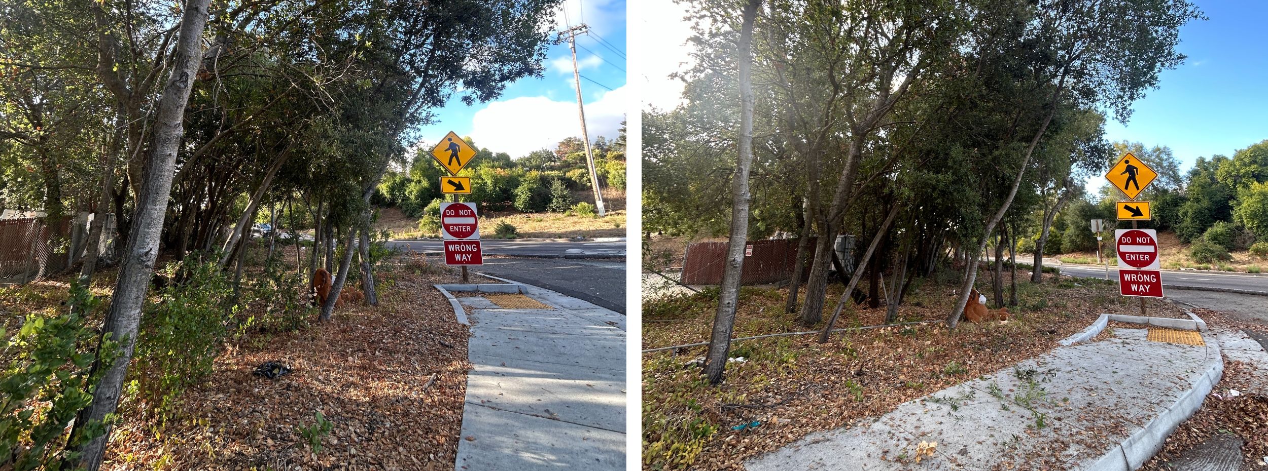 Weeds, grasses and ground vegetation within the public right of way are trimmed to shorter than 6".