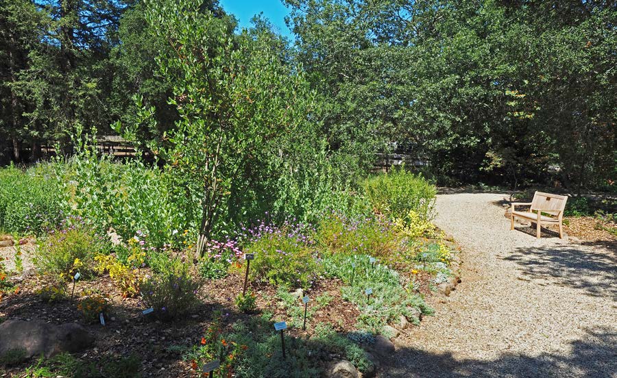 A noncombustible gravel path separates areas of vegetation, providing a fire break.