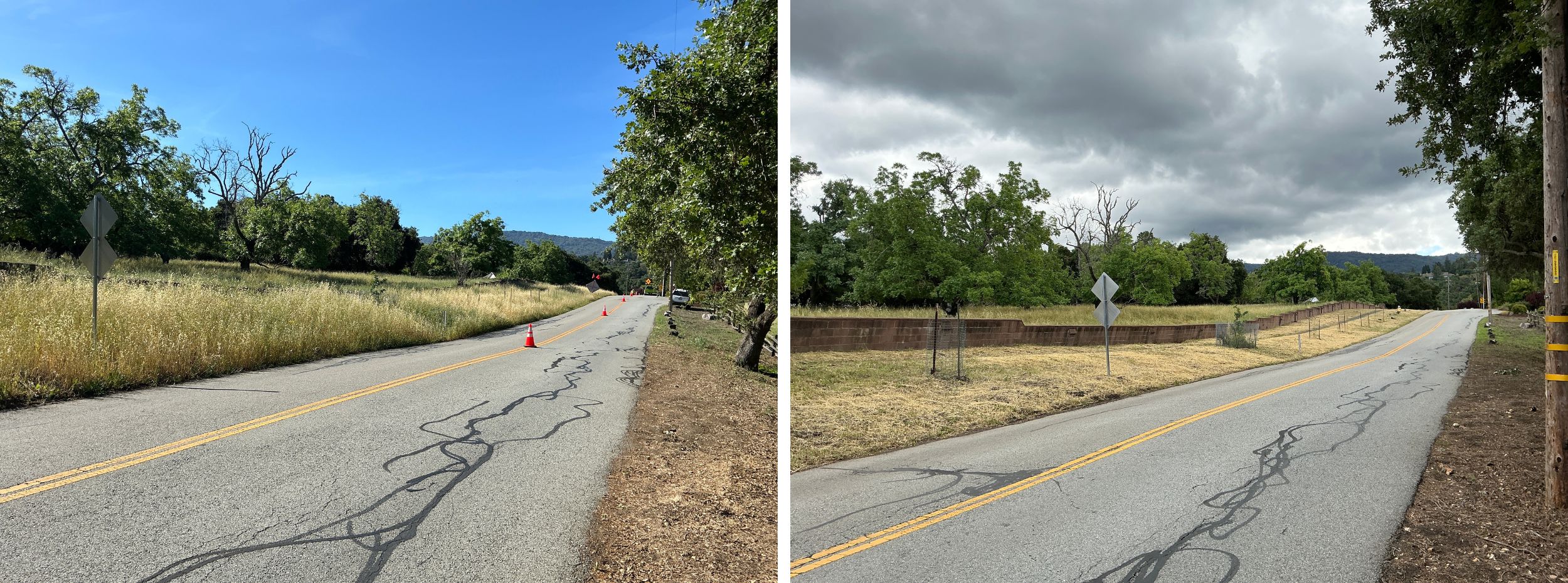 Weeds, grasses and ground vegetation within the public right of way are trimmed to shorter than 6". When there's a path, as shown here, the easement allows for trimming and additional 1 foot on each side of the path.