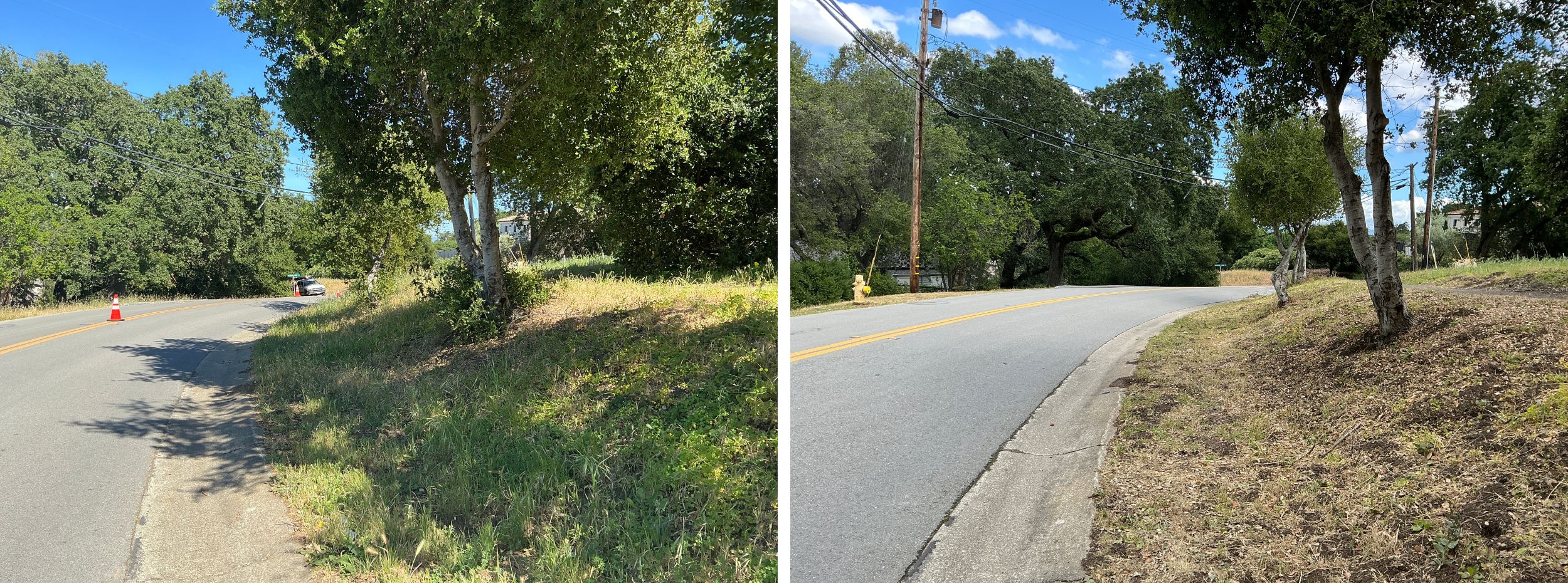 Low-growing tree branches and excess vegetation are cut away from the lower portion of the trees to create a separation between the tree canopy and ground fuels. Weeds, grasses and ground vegetation within the public right of way are trimmed to shorter than 6". When there's a path, as shown here, the easement allows for trimming and additional 1 foot on each side of the path.