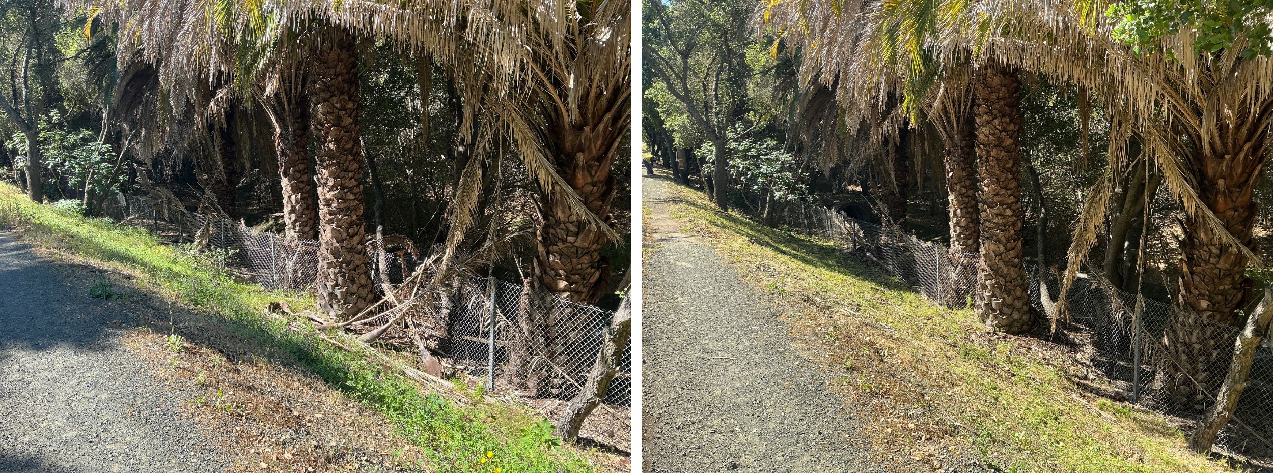 Hazardous vegetation, including brush, grasses, and tree limbs, is cleared to the fence line. Wooded vegetation piles will be cleaned up and chipped.