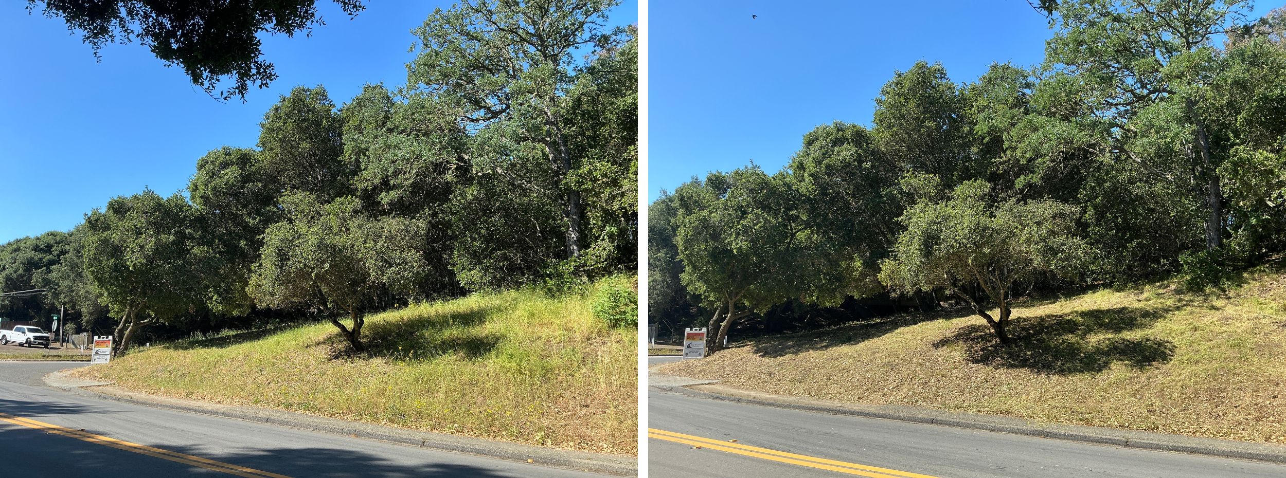 Weeds, grasses and ground vegetation within the public right of way are trimmed to shorter than 6".