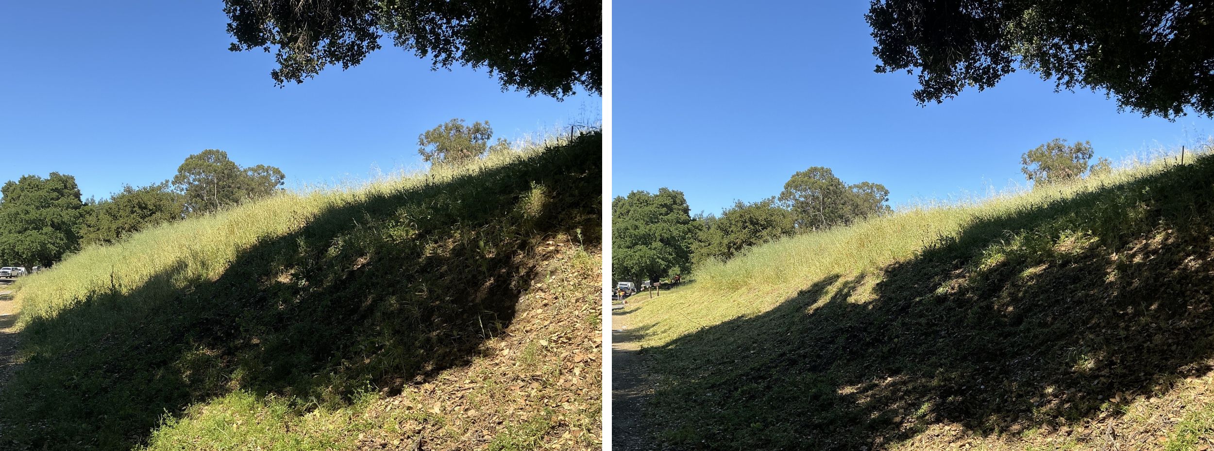 Weeds, grasses and ground vegetation within the public right of way are trimmed to shorter than 6". Treatment depth from centerline of the road will depend on permit specification of public right of ways and resident permissions.