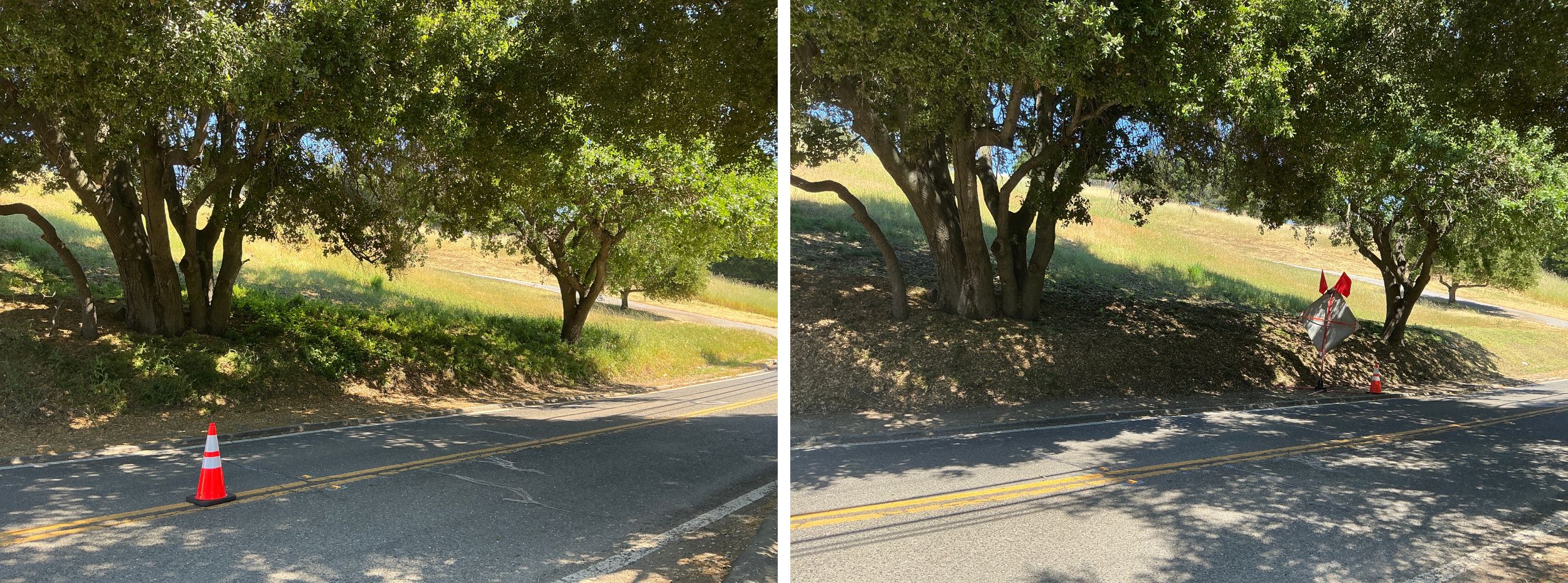 Low-growing tree branches and excess vegetation are cut away from the lower portion of the trees to create a separation between the tree canopy and ground fuels. Weeds, grasses and ground vegetation within the public right of way are trimmed to shorter than 6".