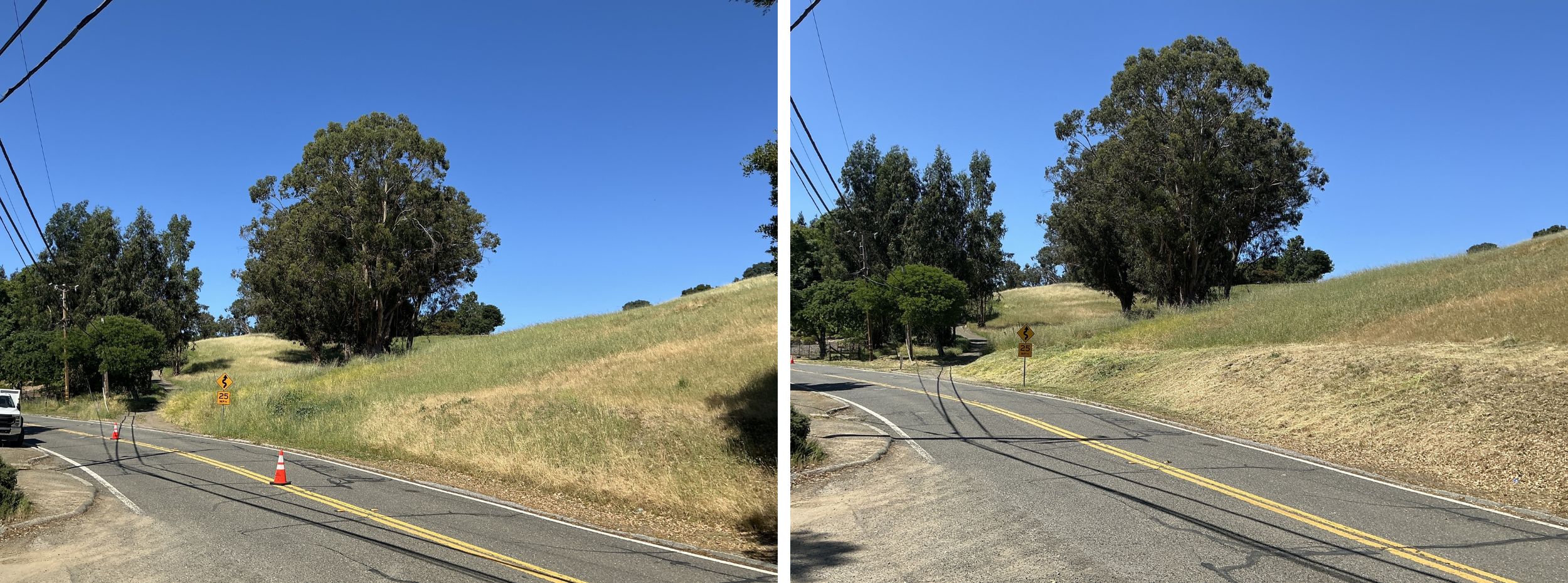 Low-growing tree branches and excess vegetation are cut away from the lower portion of the trees to create a separation between the tree canopy and ground fuels. Weeds, grasses and ground vegetation within the public right of way are trimmed to shorter than 6". Treatment depth from centerline of the road will depend on permit specification of public right of ways and resident permissions.